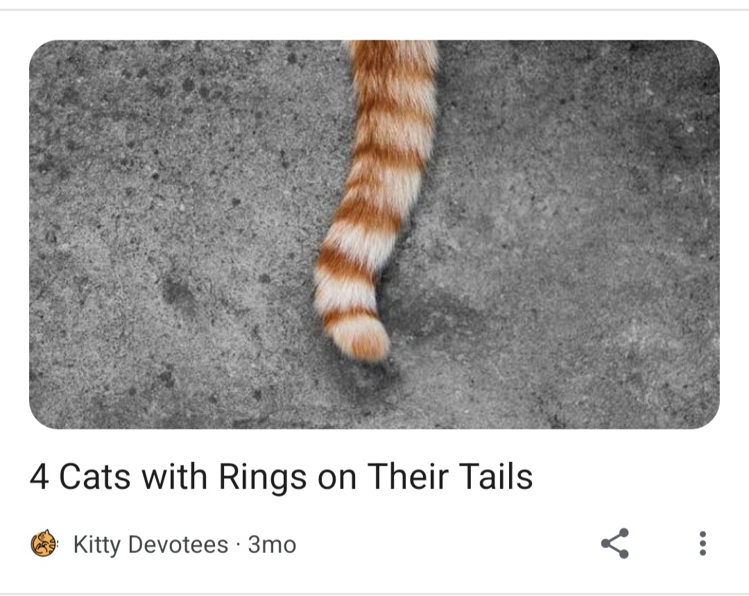 Screenshot_20220915-190831_Chrome.jpg