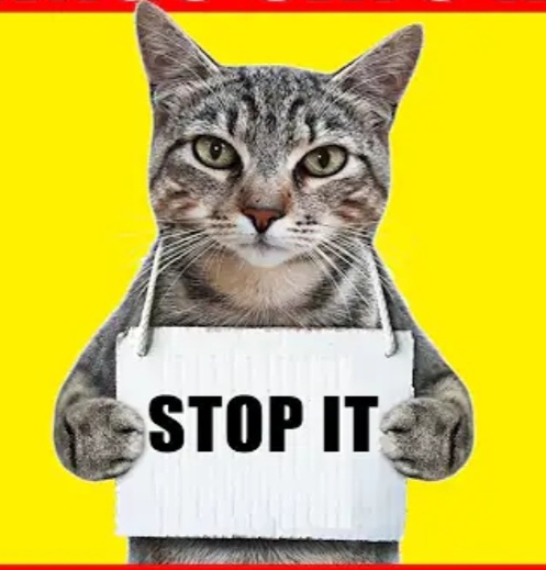 Screenshot_20221120-210419_Chrome.jpg