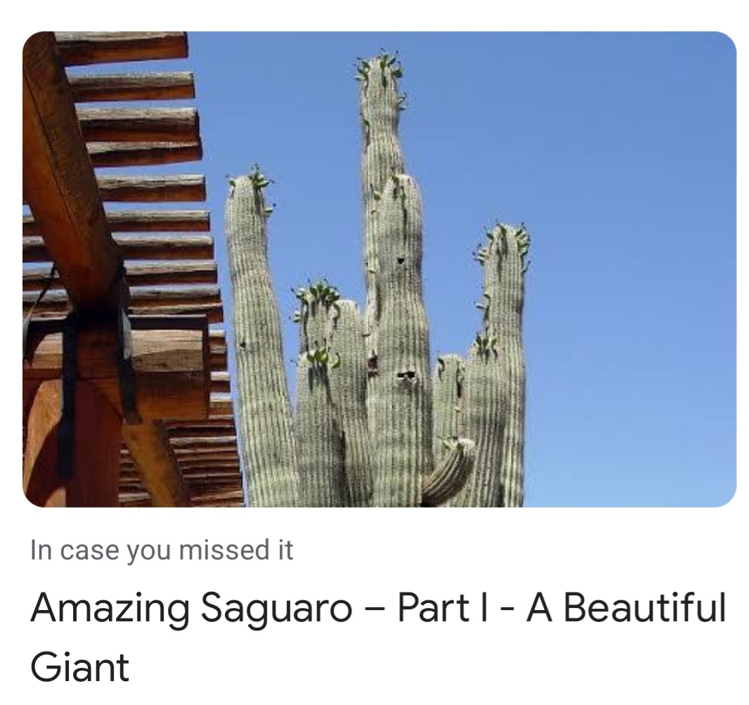 Screenshot_20221129-160419_Google.jpg