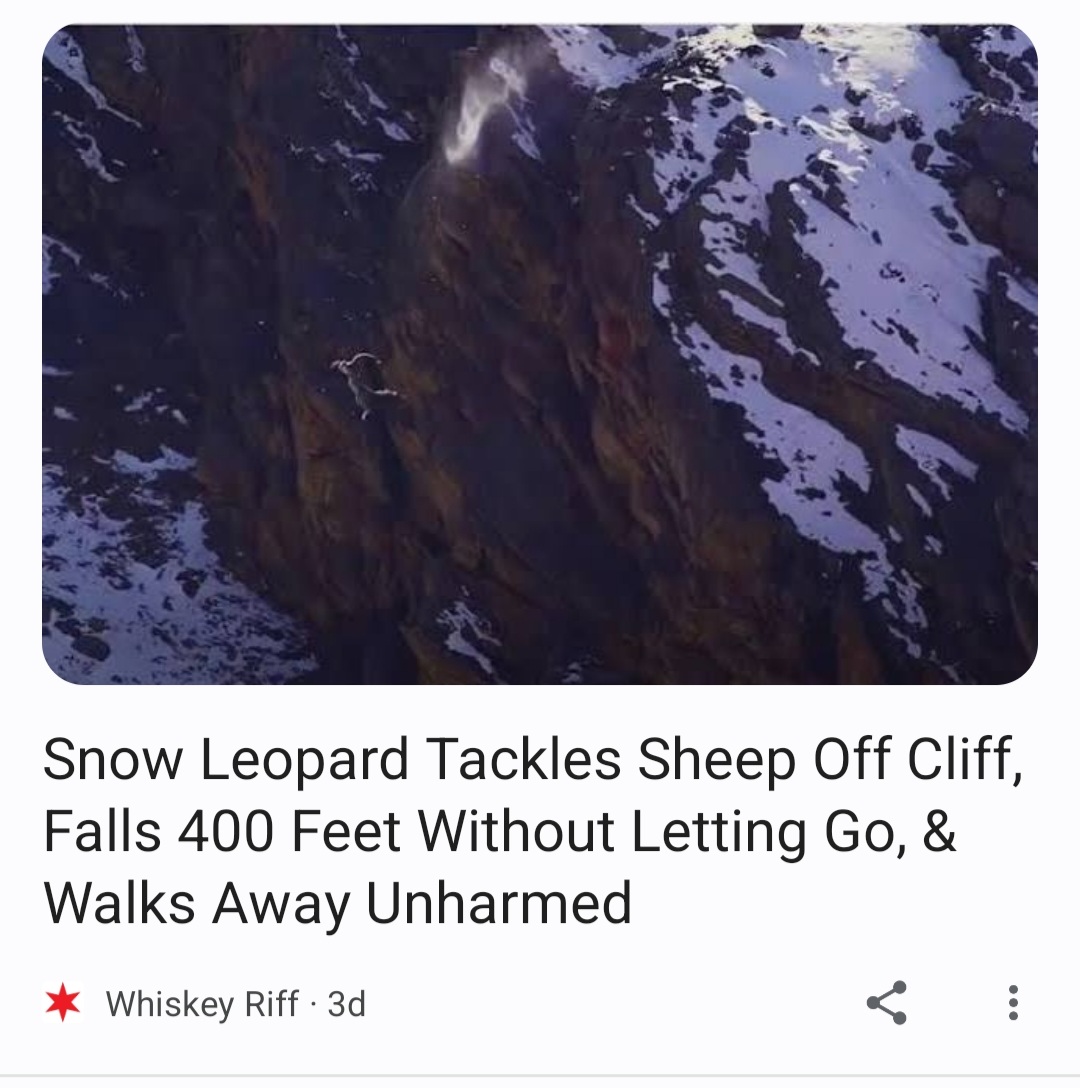 Screenshot_20230202-045138_Chrome.jpg