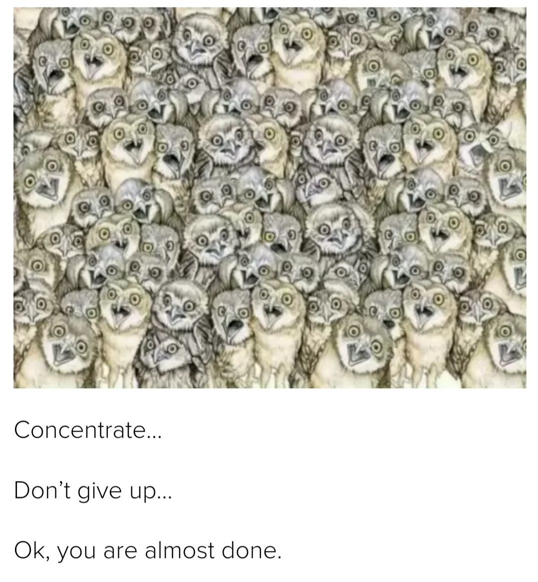Screenshot_20230206-155235_Chrome.jpg