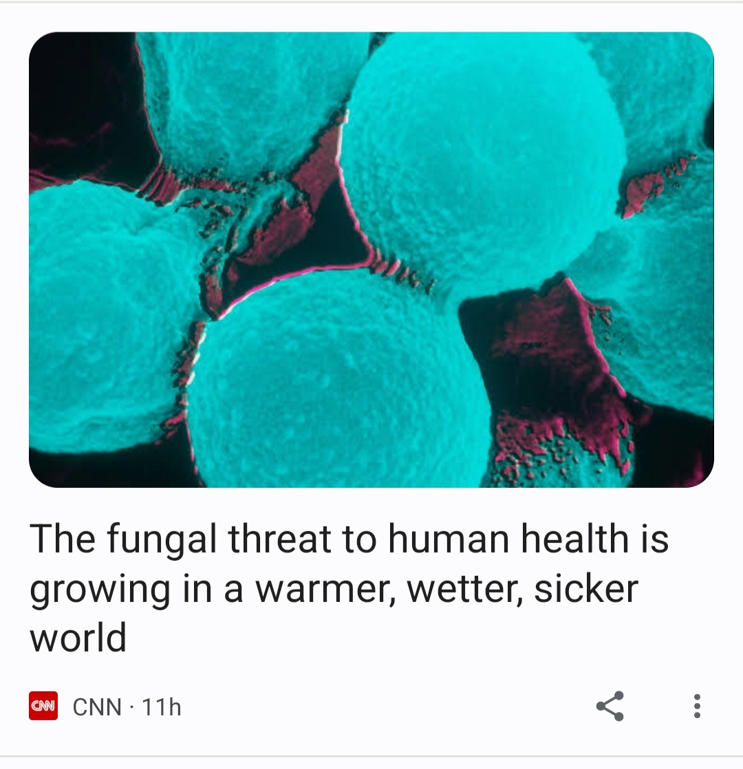 Screenshot_20230207-181538_Chrome.jpg