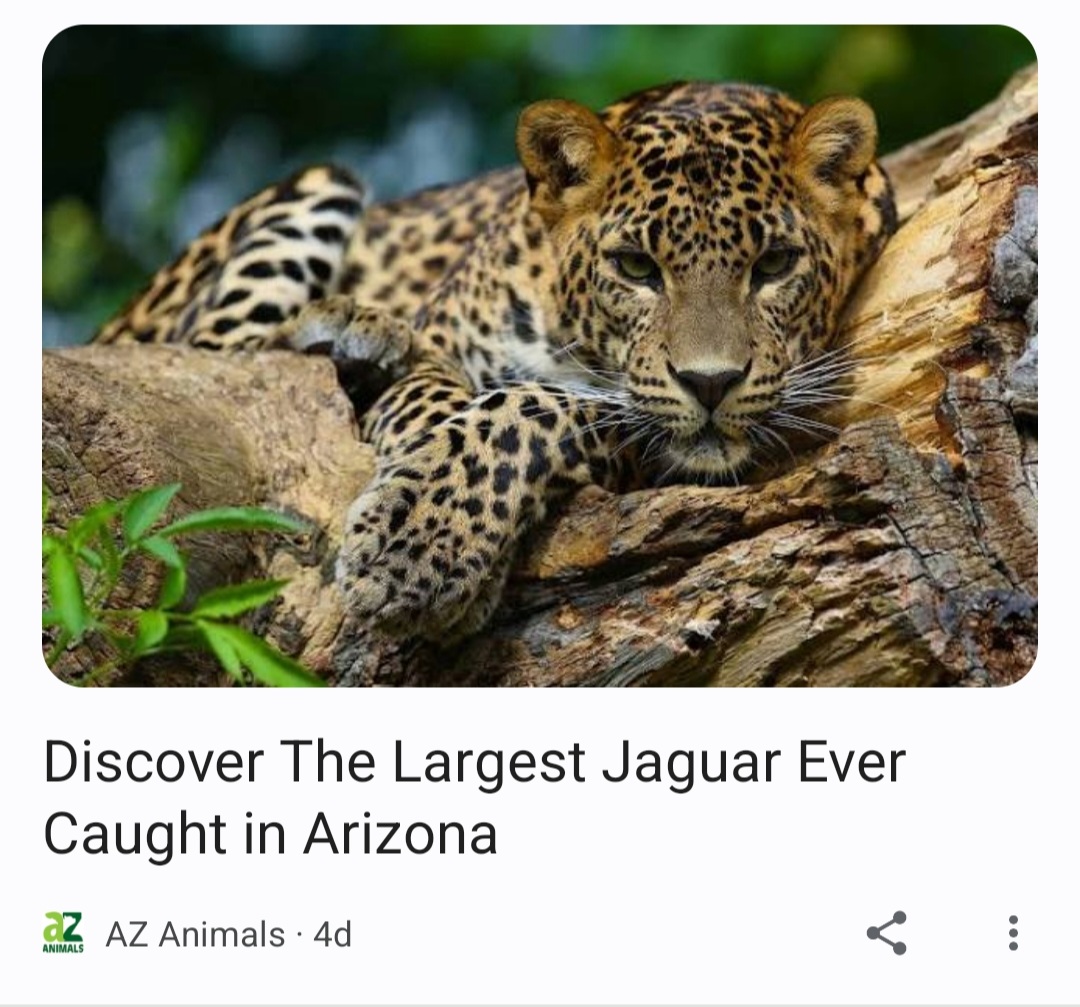 Screenshot_20230213-212242_Chrome.jpg