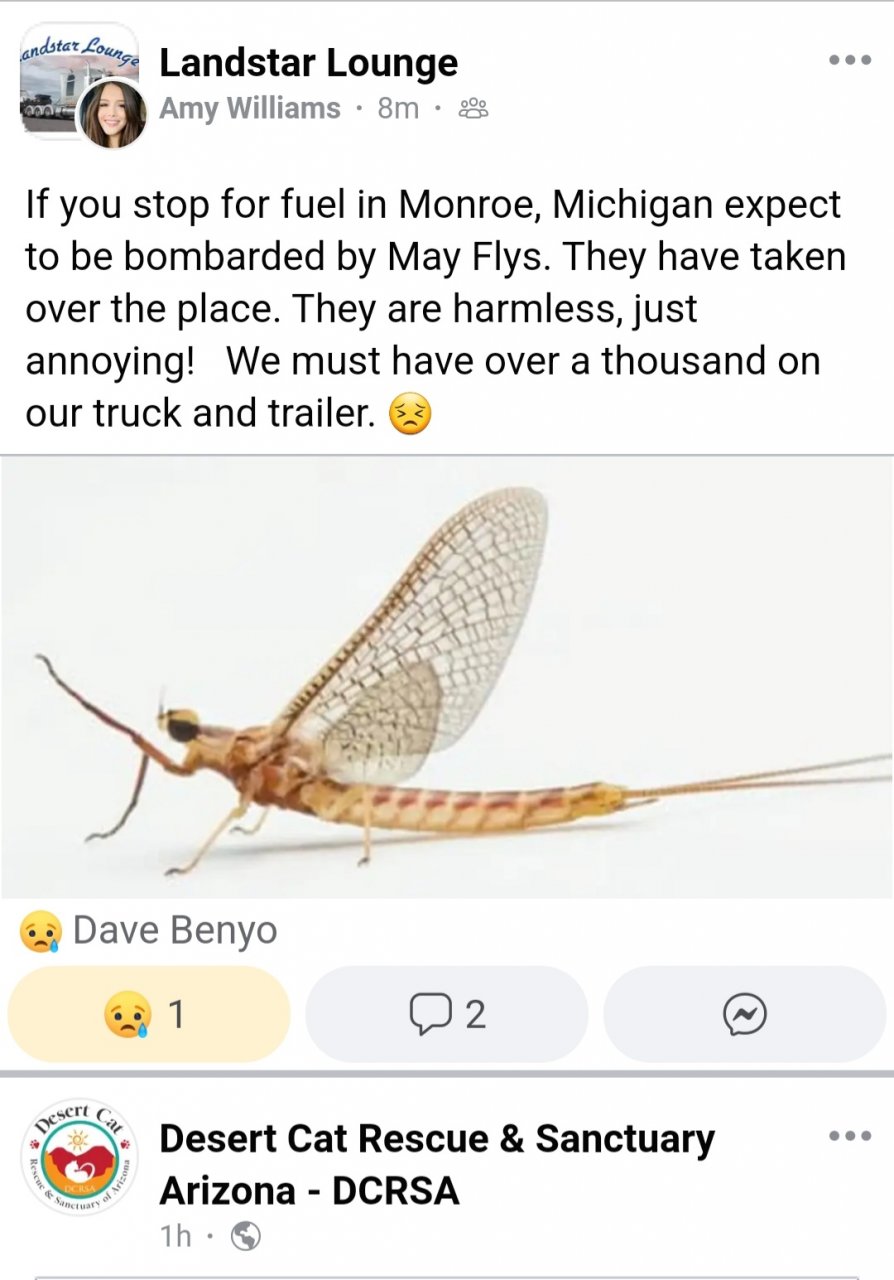Screenshot_20230701-164414_Chrome.jpg