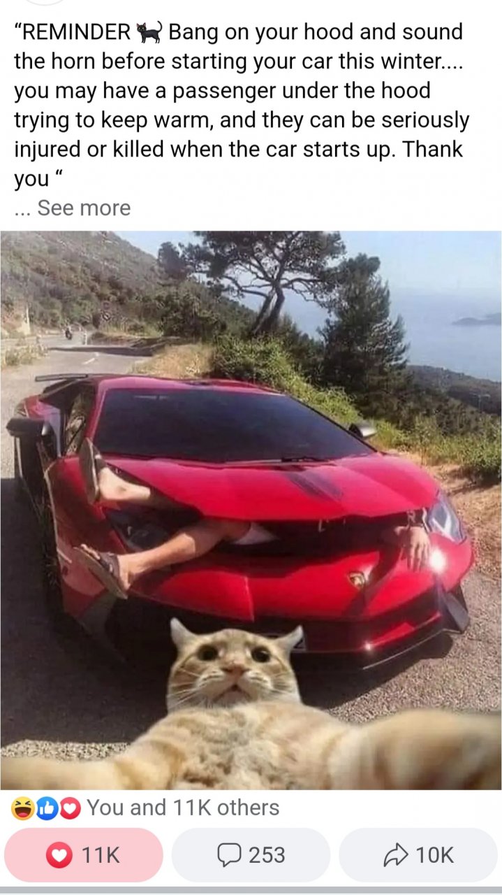 Screenshot_20230924-094645_Chrome.jpg