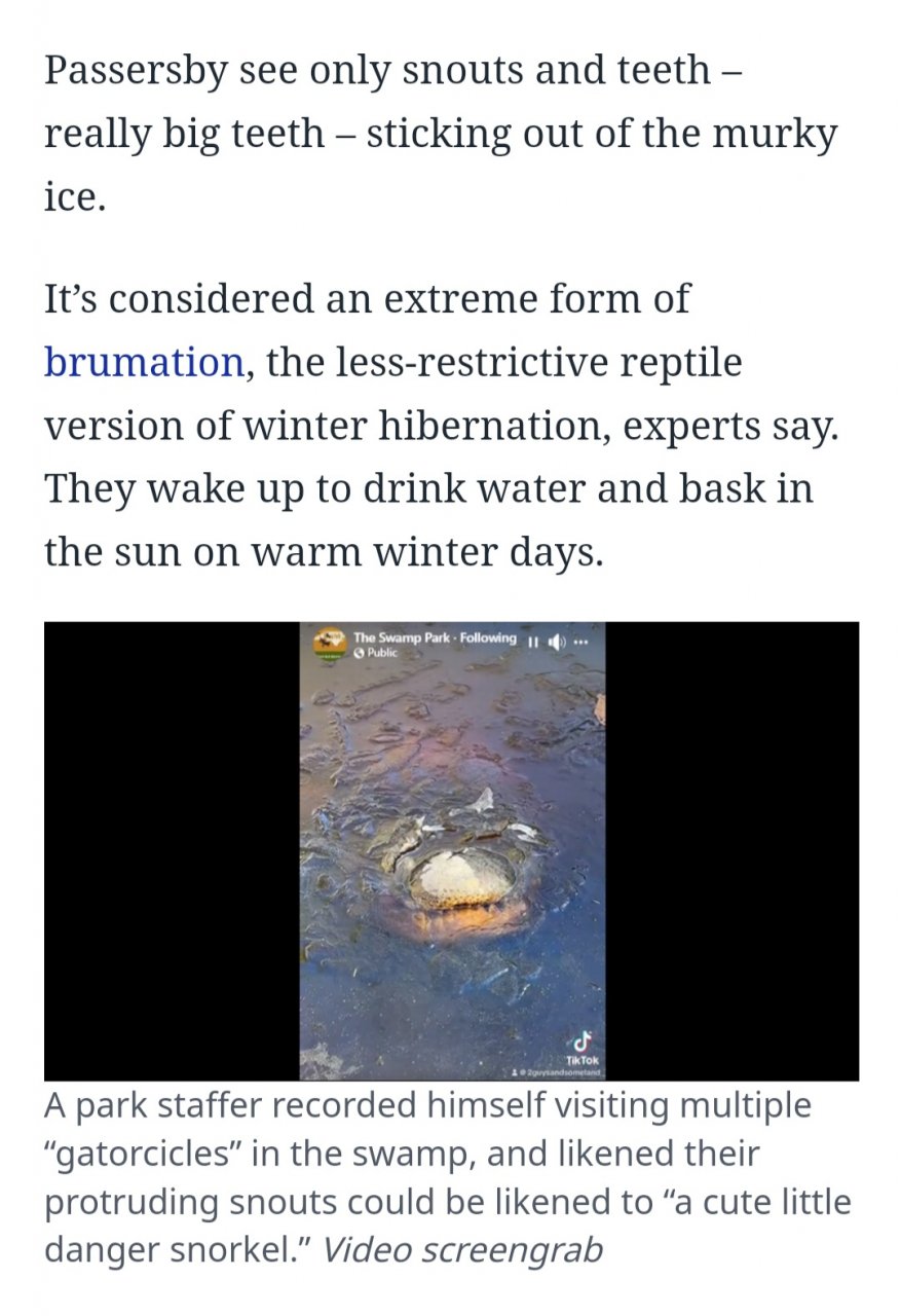 Screenshot_20240124-073648_Chrome.jpg