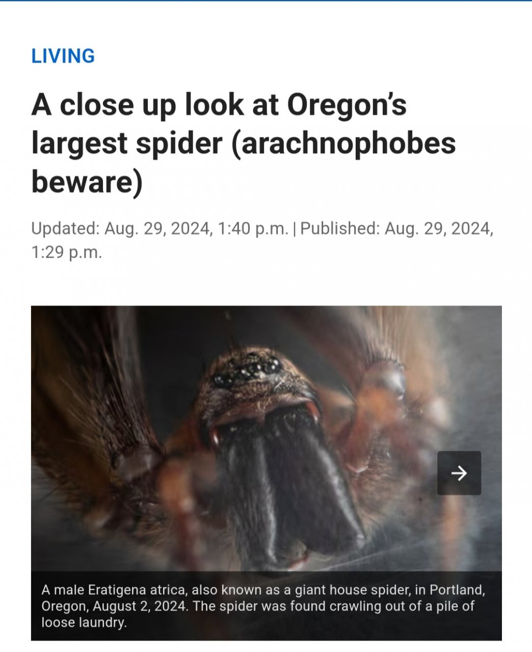 Screenshot_20240830-111822_Chrome.jpg