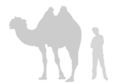 size-bactriancamel-160-2612-cb1449079436.gif