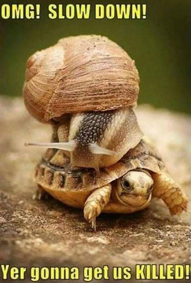 Slow.jpg
