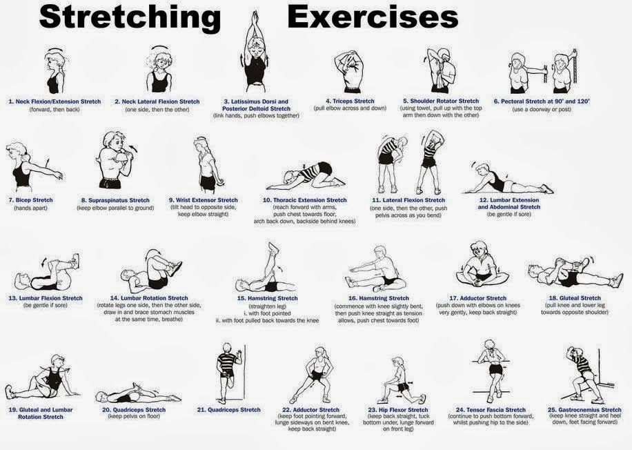Stretch_Exercises.jpg