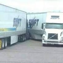 Swift-not so swift.jpg