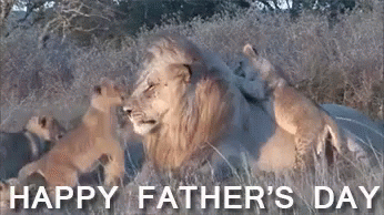 tmp.gif