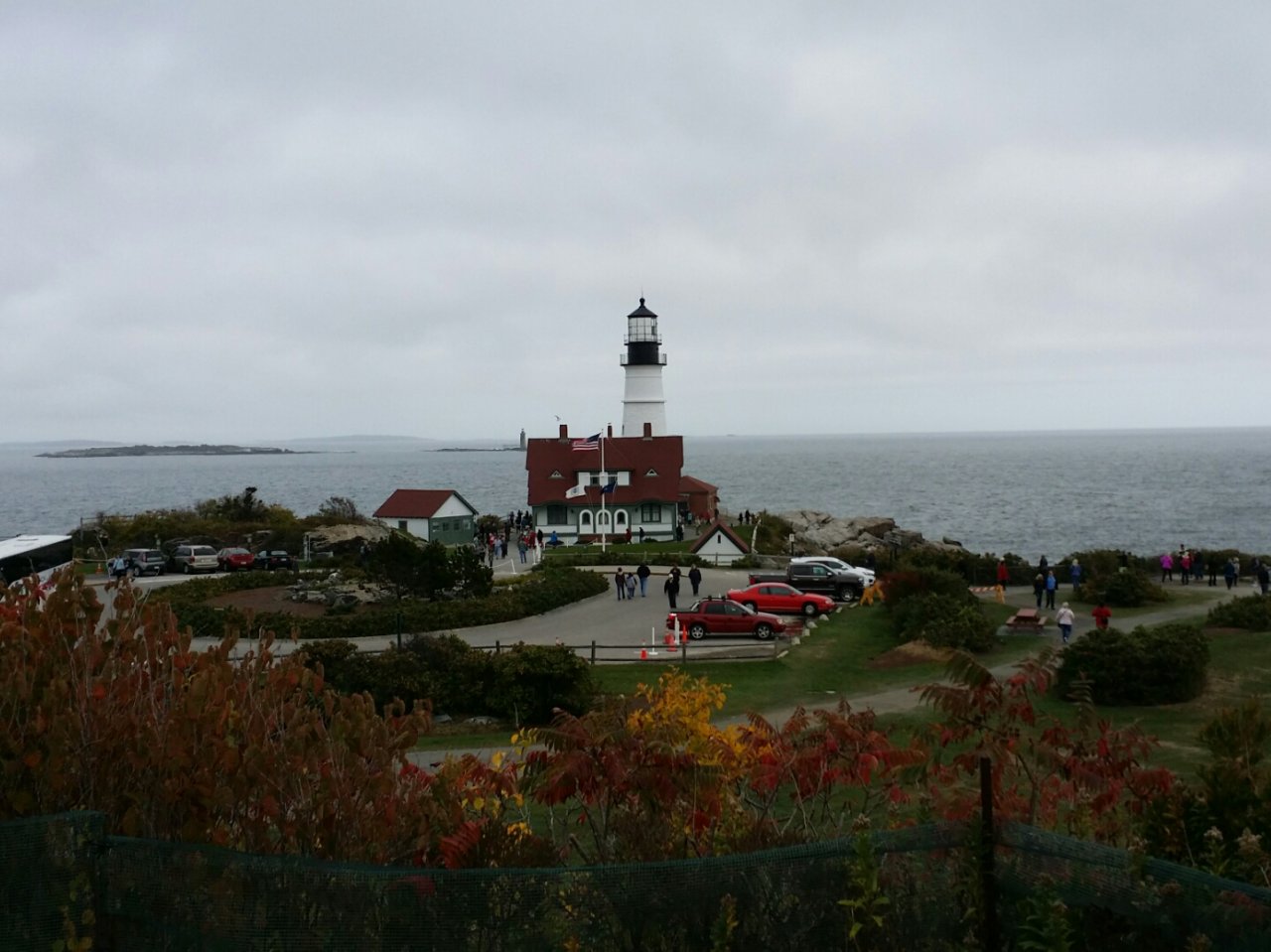 tmp_743-20161117_164459-1631559443.jpg