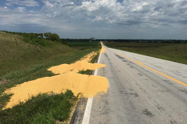 Truck-driver-fired-via-text-allegedly-dumped-corn-on-highway.jpg