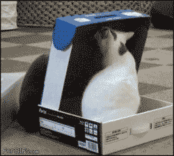tumblr_mckgzwW6pr1rpljm0.gif