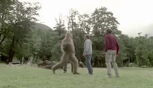 upload_2022-5-5_8-9-42.gif