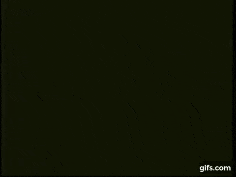 upload_2023-5-16_17-16-16.gif