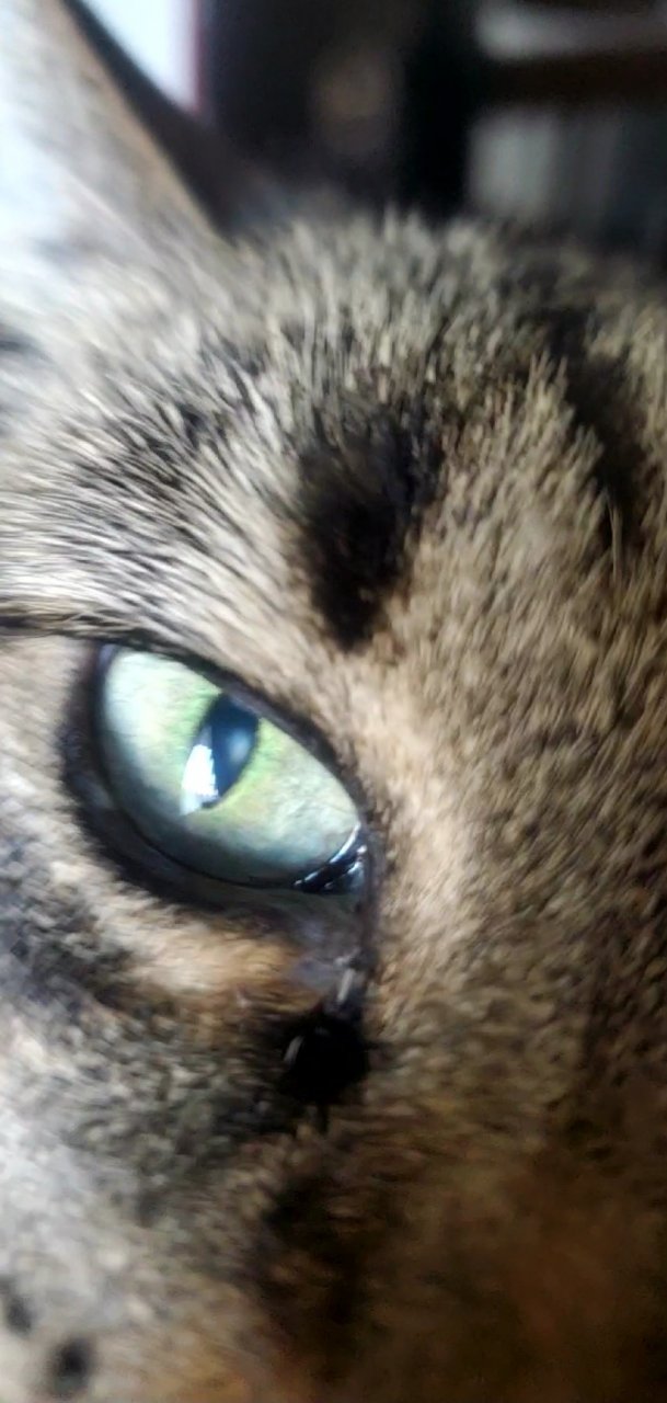 VideoCapture_20230104-122727.jpg
