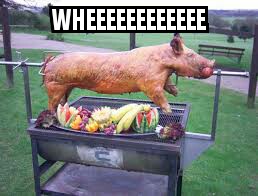 wheeeee.jpg