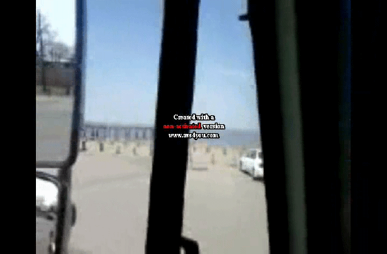 WoodlandBeach1_3.gif