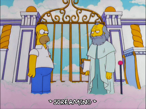 xT5LMz2LscFvWRh2Ok.gif