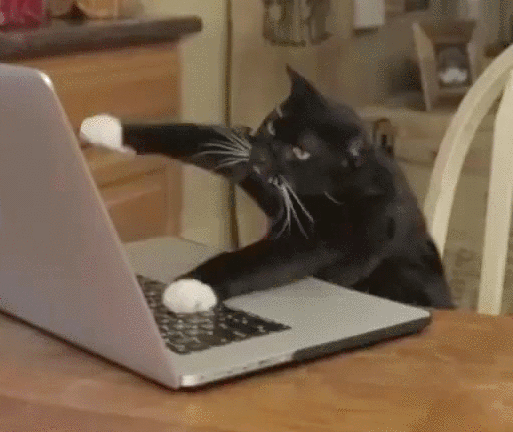 You can tell this cat is pretending to type because he's not using the home row position_.gif