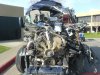 DSC00017.jpg
