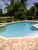 The backyard oasis.jpg