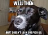 look suspicious .jpg