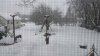 20170109_121024.jpeg