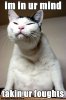 im+in+ur+mind+funny+animals.jpg