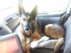 20180524_115059.jpg