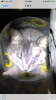 B710A32F-1232-4652-BE2A-EBF16CBEA1F3.png