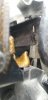 20180910_163844.jpg