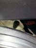20130323_121148.jpg