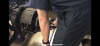 E898AF87-94A9-458A-A076-E8F677E77E79.png