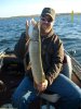 northern pike.jpg
