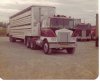 Lynn hauling catlle 1973-74.jpg