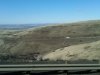 OR cabbage Hill 2.jpg