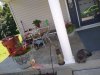 IMG_20200710_131232117.jpg