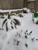20210215_180406.jpg