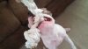 Lucy-tug-teeth.jpg
