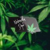 2202-cannabis-nebraska-is-dope-239_2048x.jpg