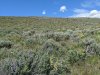 PXL_20220611_201821299.MP.jpg