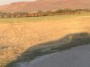 1C67E3A9-1055-45C7-8D0E-D8D02F4BEED0.jpeg