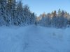 IMG_0117.jpg