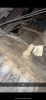 1218433E-98BC-456F-B814-464AFC2569FA.png