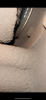 2247AC29-C1F1-4387-ABD2-FC1422A62D72.png