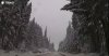 80B33400-A0B1-4FCB-A180-0D02039D65D3.jpeg