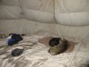 IMG_5516.JPG